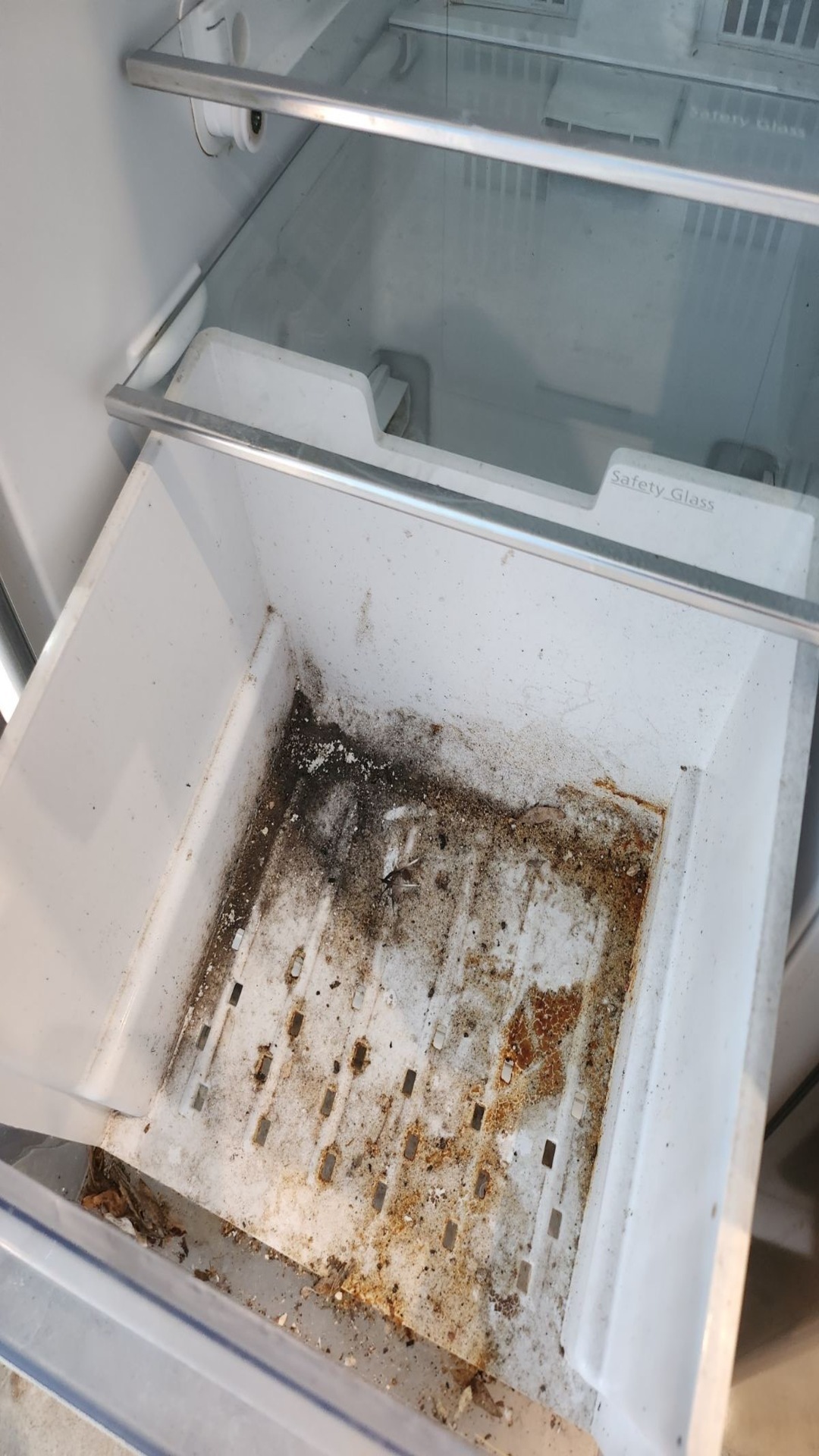 Before photo for Oven and Fridge Cleaning