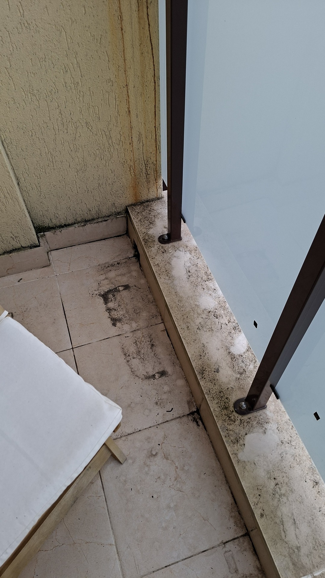 Before photo for Основно почистване