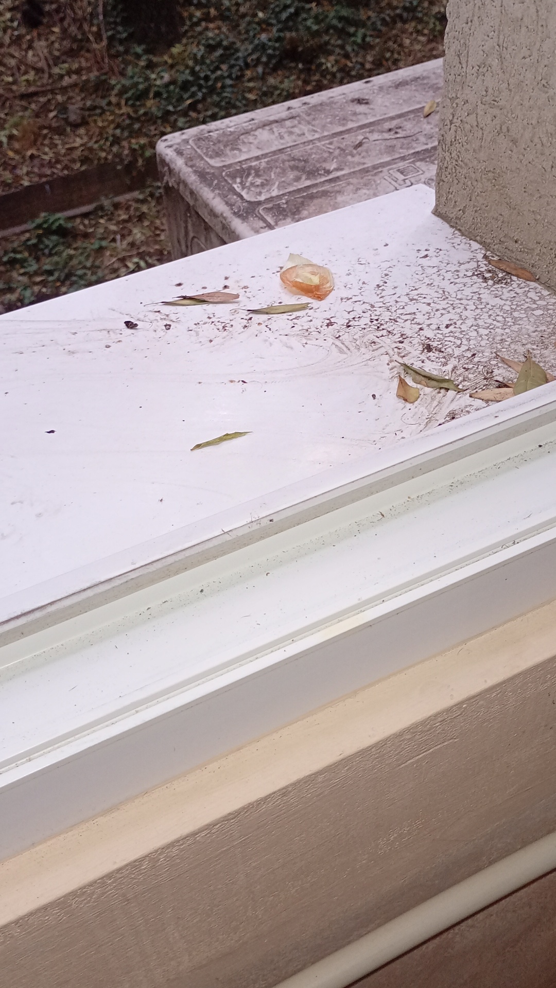 Before photo for Основно почистване