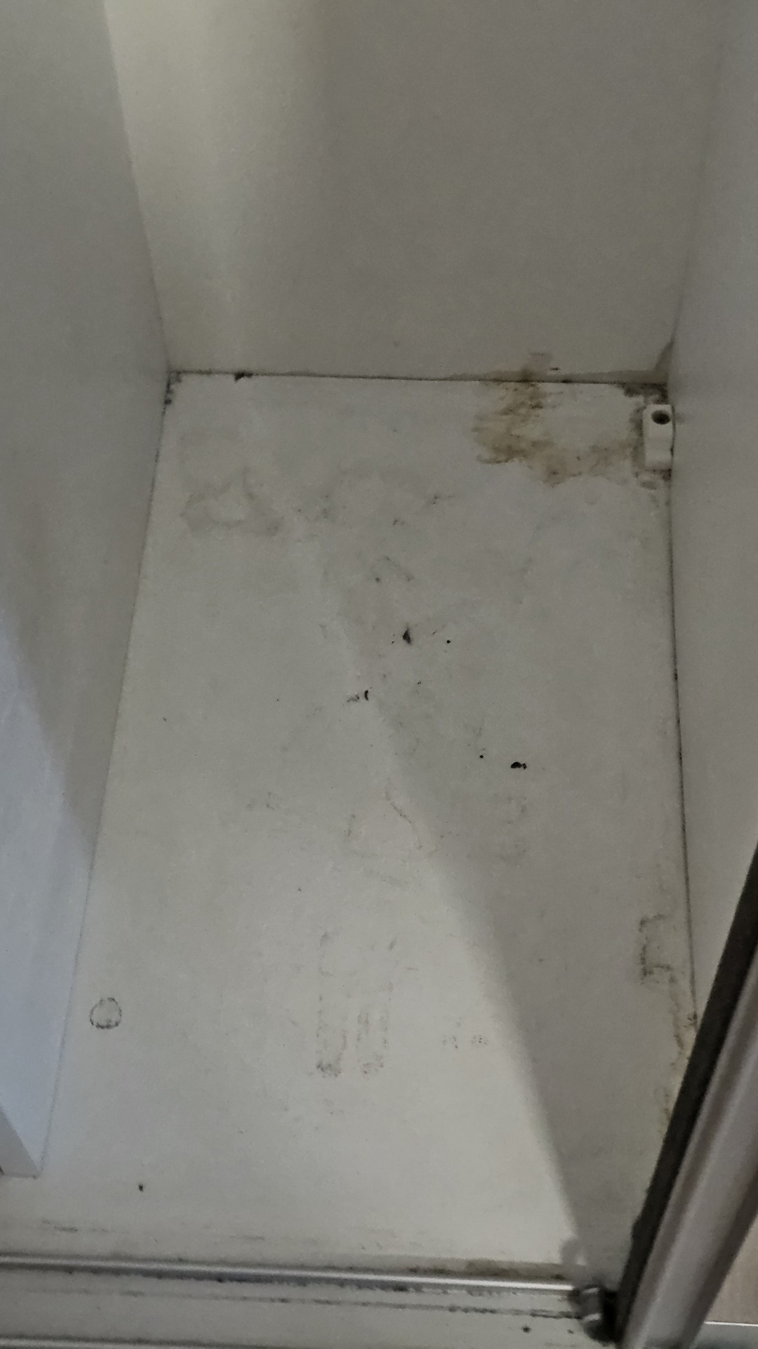 Before photo for Основно почистване