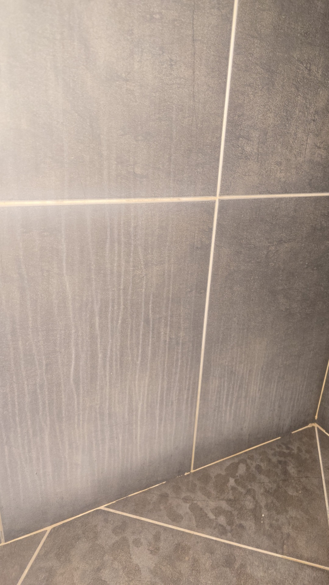 Before photo for Bathroom Cleaning