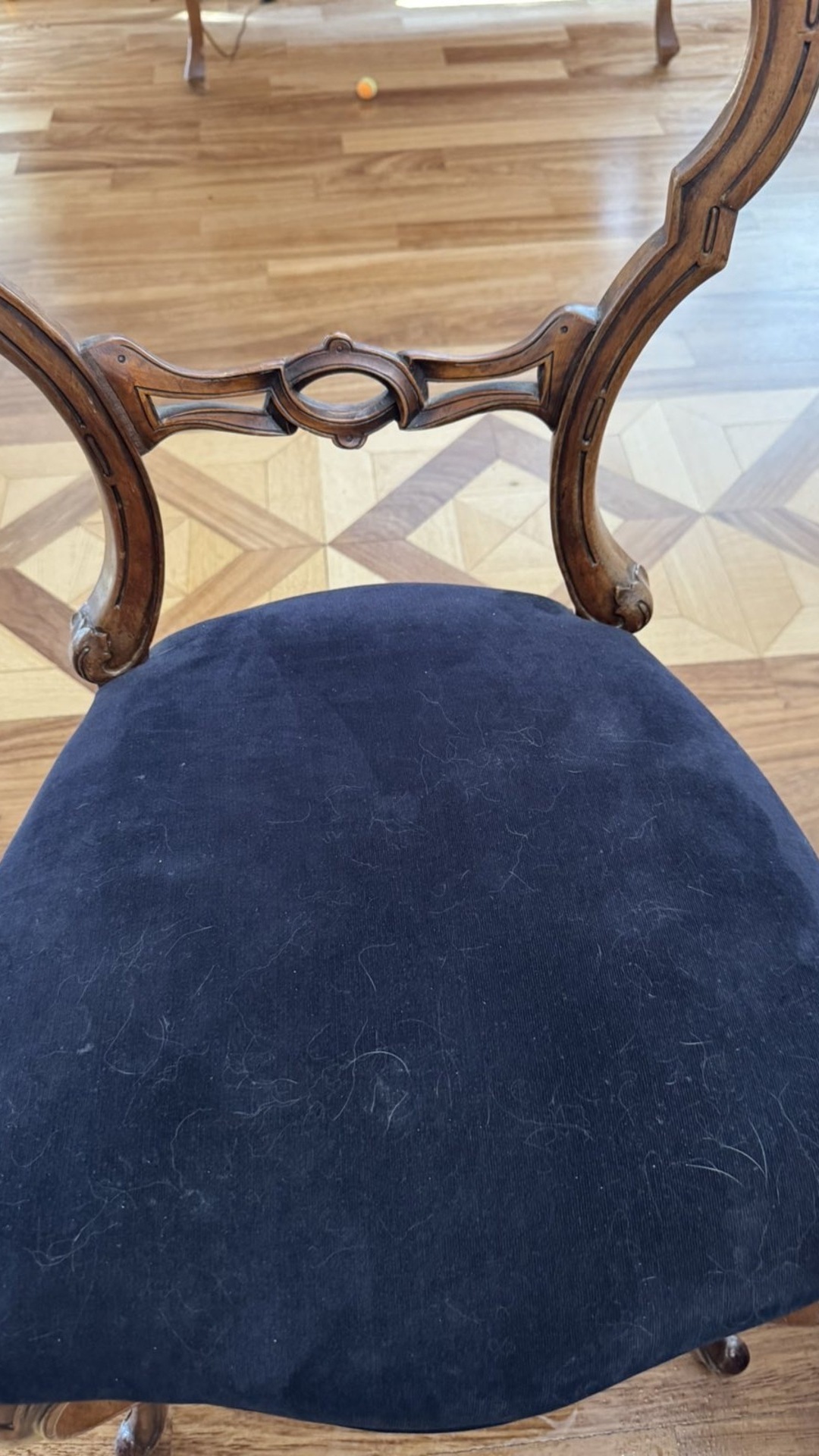 Before photo for Upholstery & Carpet Cleaning