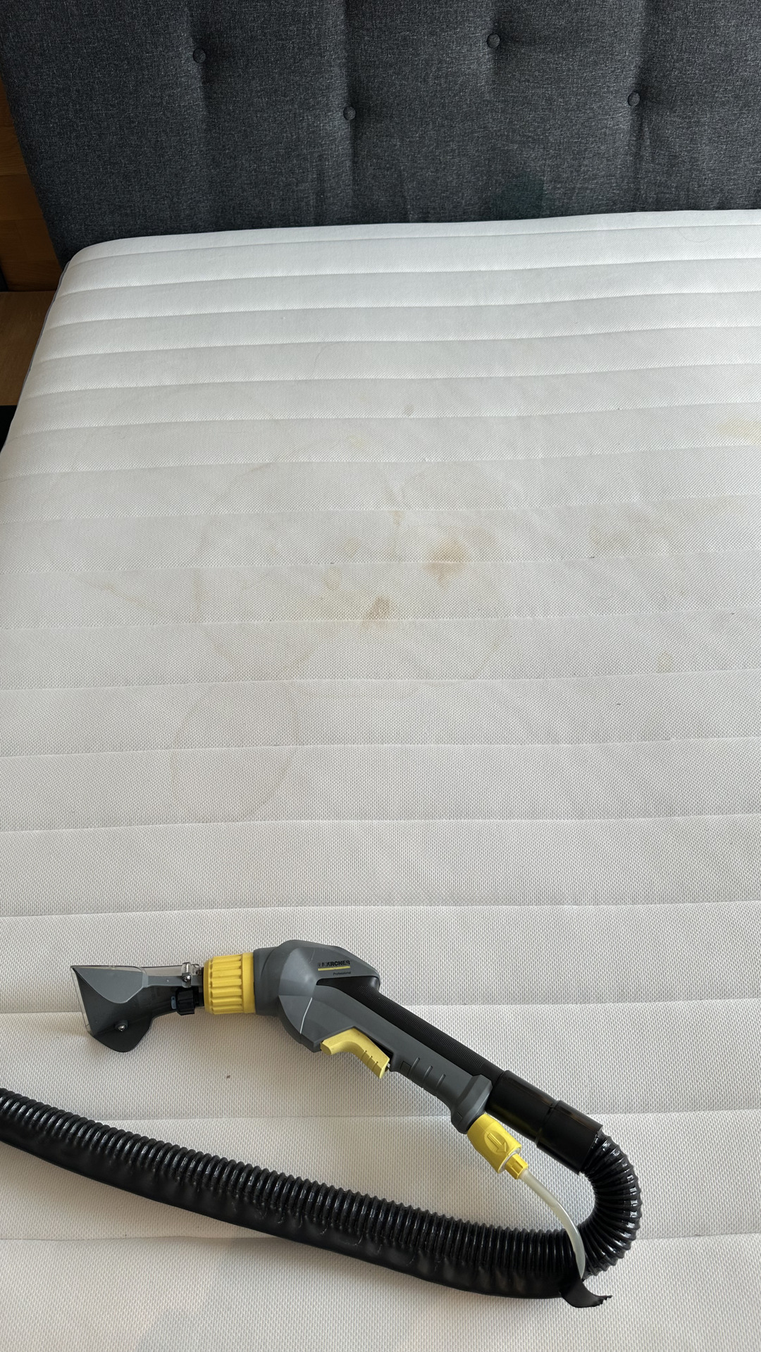 Before photo for Upholstery & Carpet Cleaning