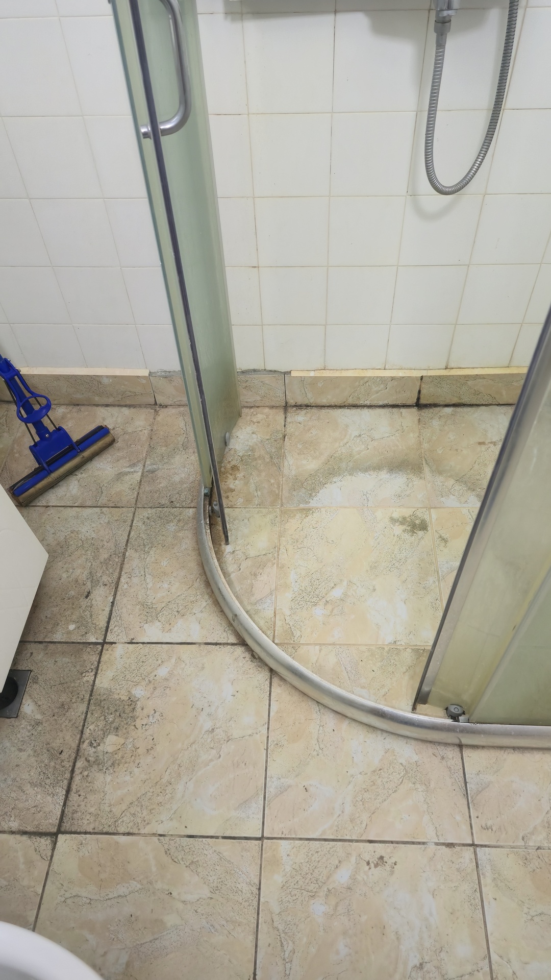 Before photo for Почистване на баня