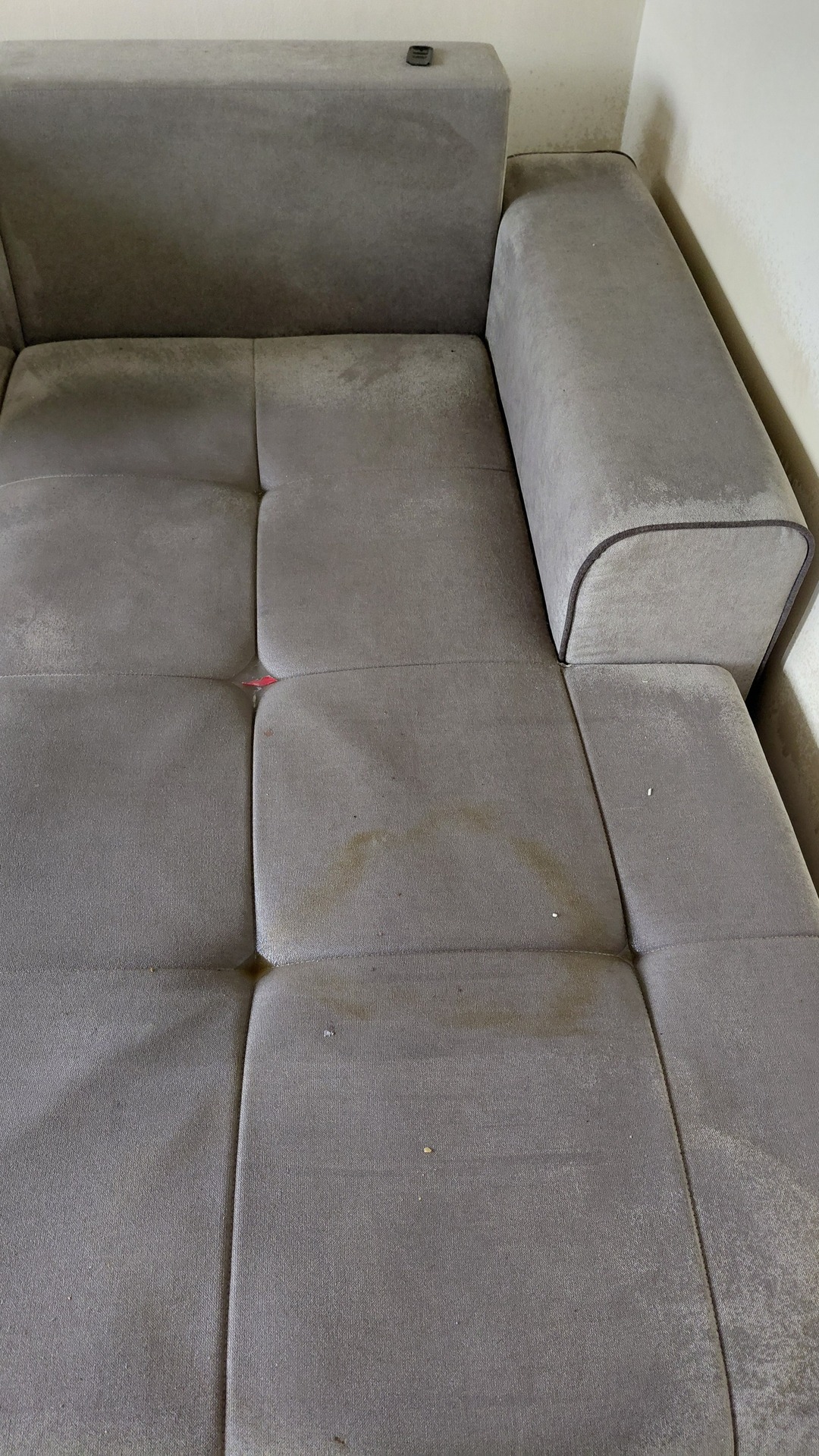 Before photo for Upholstery & Carpet Cleaning