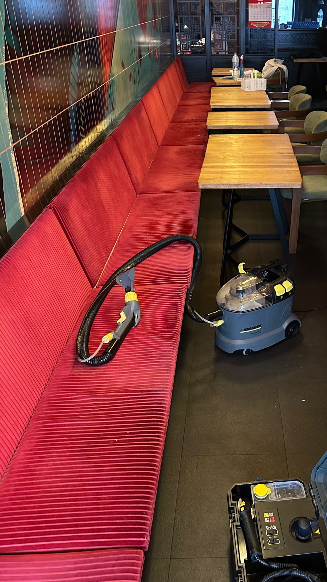 Before photo for Upholstery & Carpet Cleaning