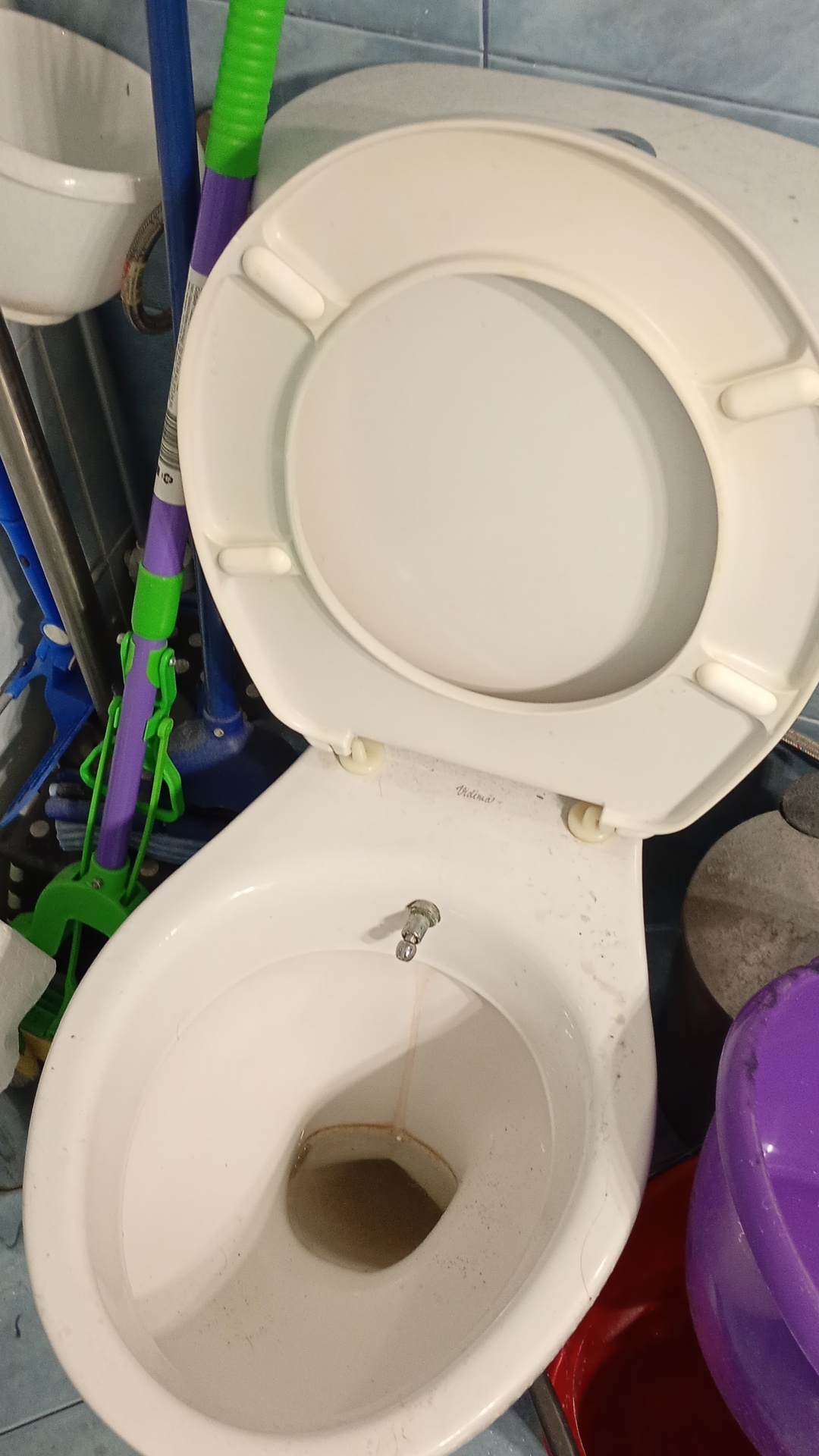 Before photo for Основно почистване