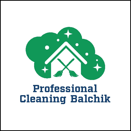 Professional Cleaning Balchik  logo