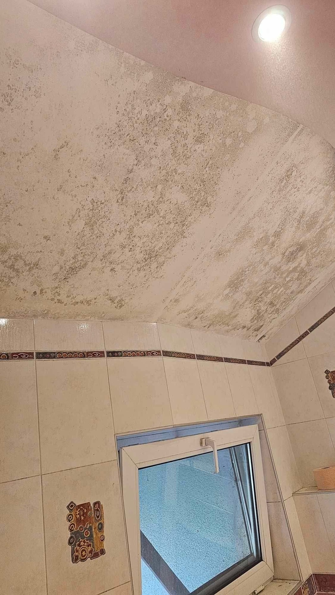 Before photo for Deep Cleaning