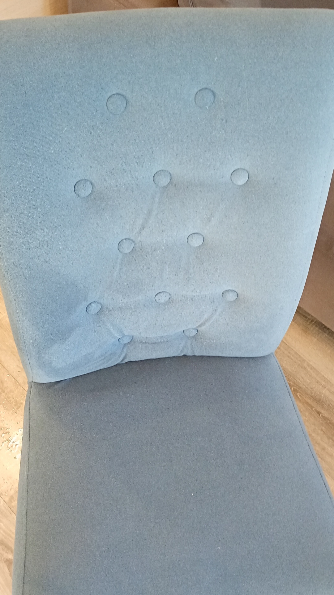 Before photo for Upholstery & Carpet Cleaning