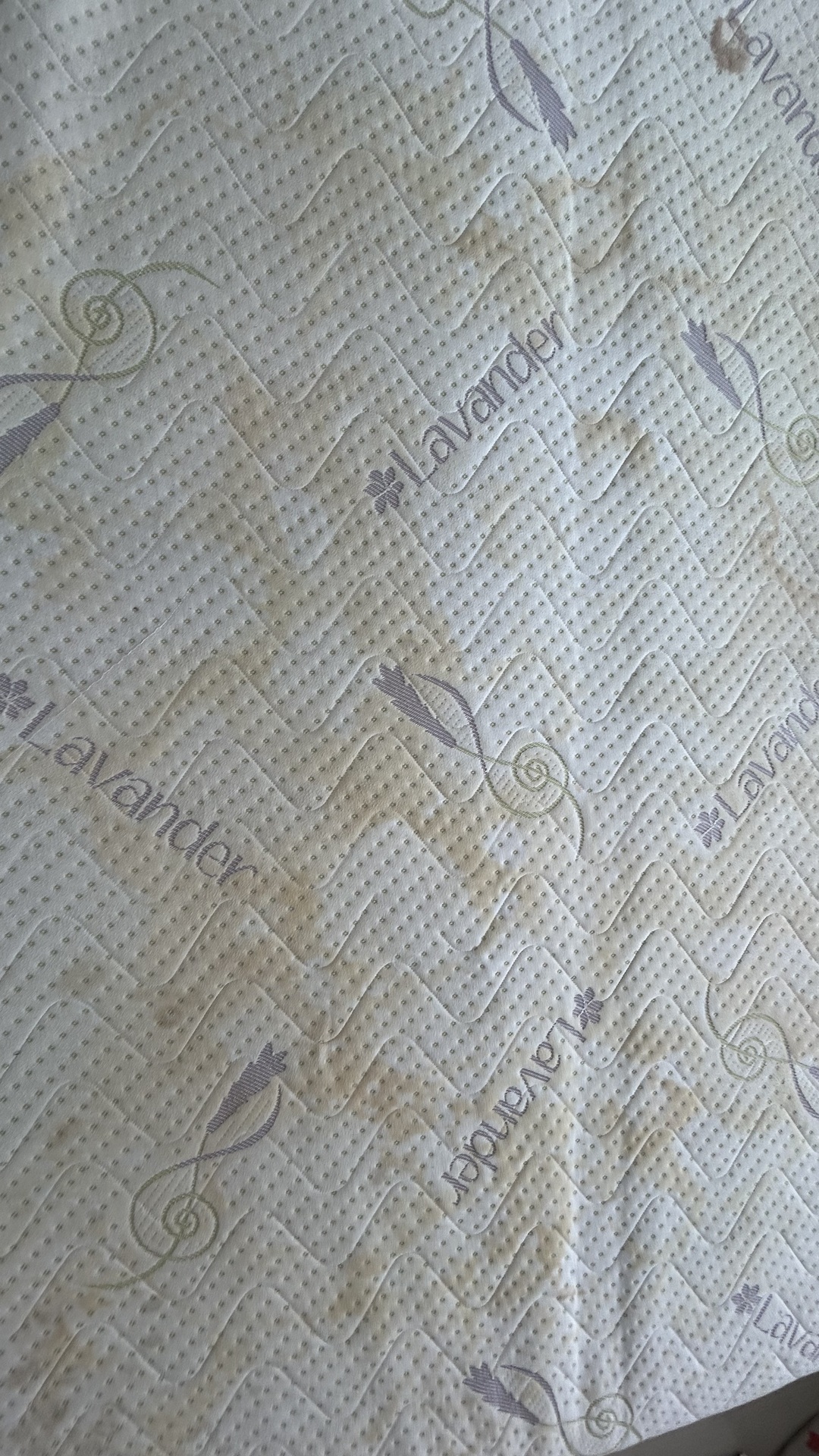 Before photo for Пране на мека мебел и килими